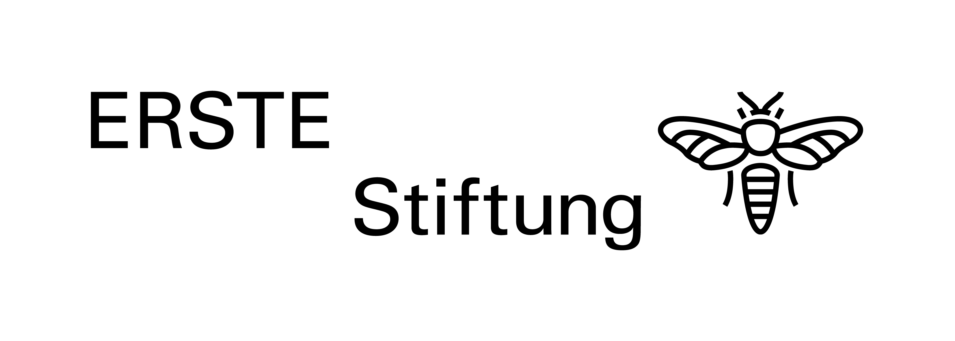 Erste Stiftung Logo